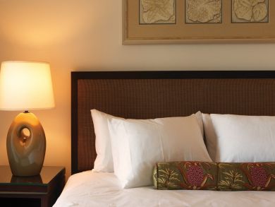 Honolulu Luxury One Bedroom Rental